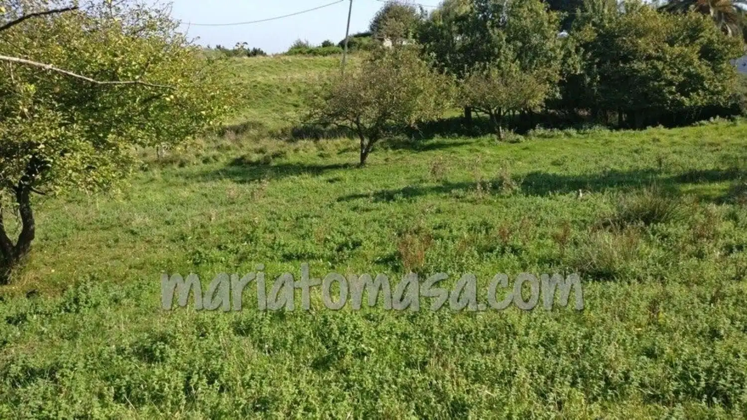 Residencial en venta en Ibarrangelu