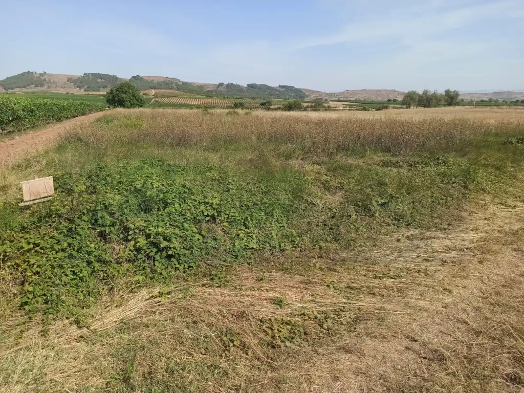 Terreno residenziale in vendita a Alesanco, imagen 2