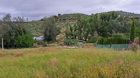 Parcela en zona Zarpazo, en camino del Grajo. Cuenta con una superficie de 1.800 m2. Se encuentra vallada y dispone de un pozo con