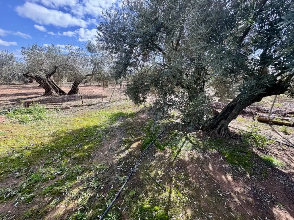 Residencial en venda a Diseminados Dehesilla(Huertas Extr)La, Andújar