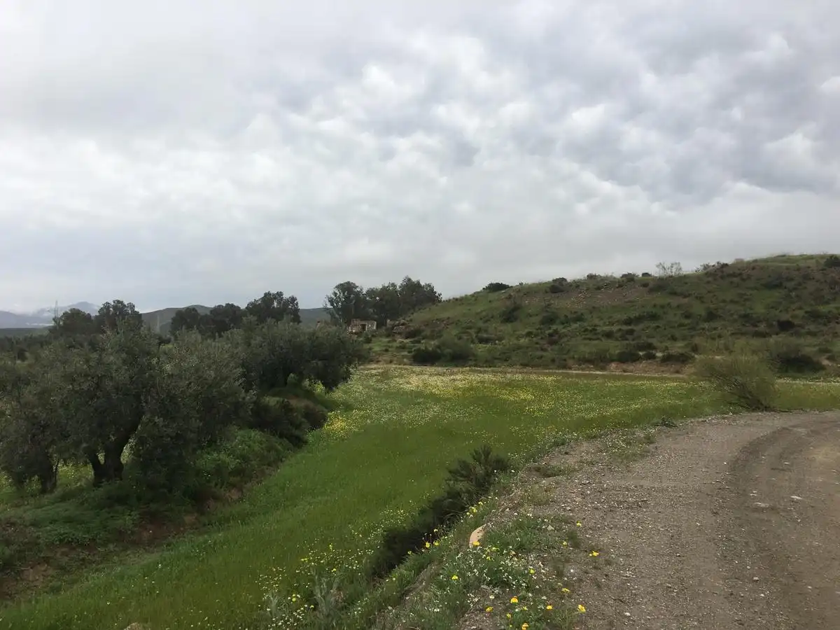 Rural land for sale in Turrillas
