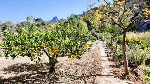 Foto 3 de Finca rústica en venda a Orxeta, Alicante
