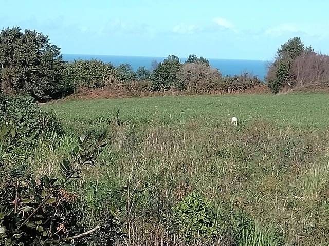 Terreno residencial en Venta en Camín de la Conchiquina, 170 en Cudillero