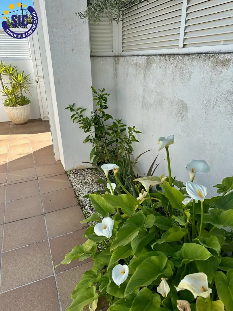 Jardín de Casa o chalet en venta en Benicasim / Benicàssim con Aire acondicionado, Jardín privado y Terraza