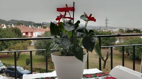 Foto 3 de Pis en venda a Calle la Retama, Valdeolletas - Las Cancelas - Xarblanca, Marbella