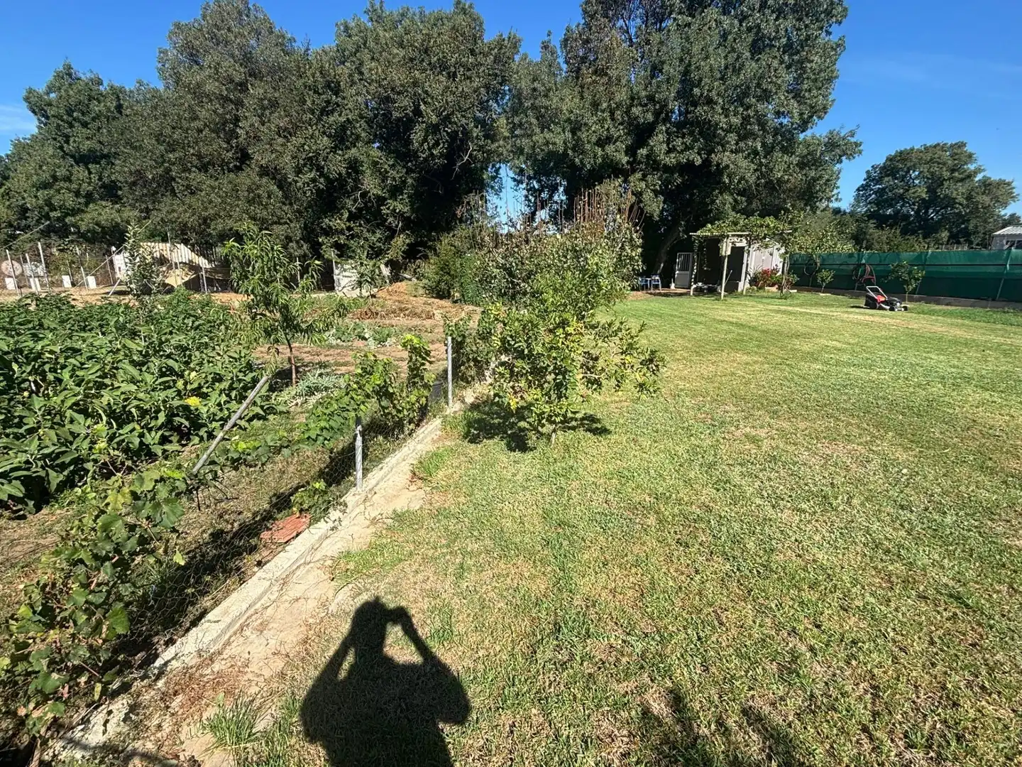 Rustikales Grundstück zum Verkauf in Los Barrios, imagen 2