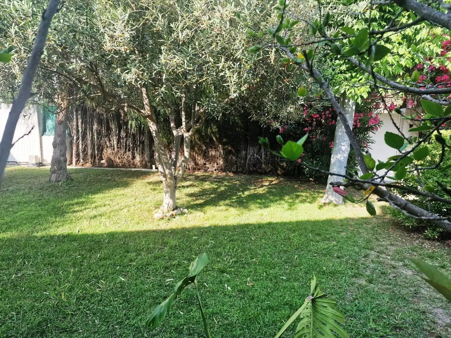 Villa avec jardin à vendre à Ardiaca - La Llosa, imagen 4