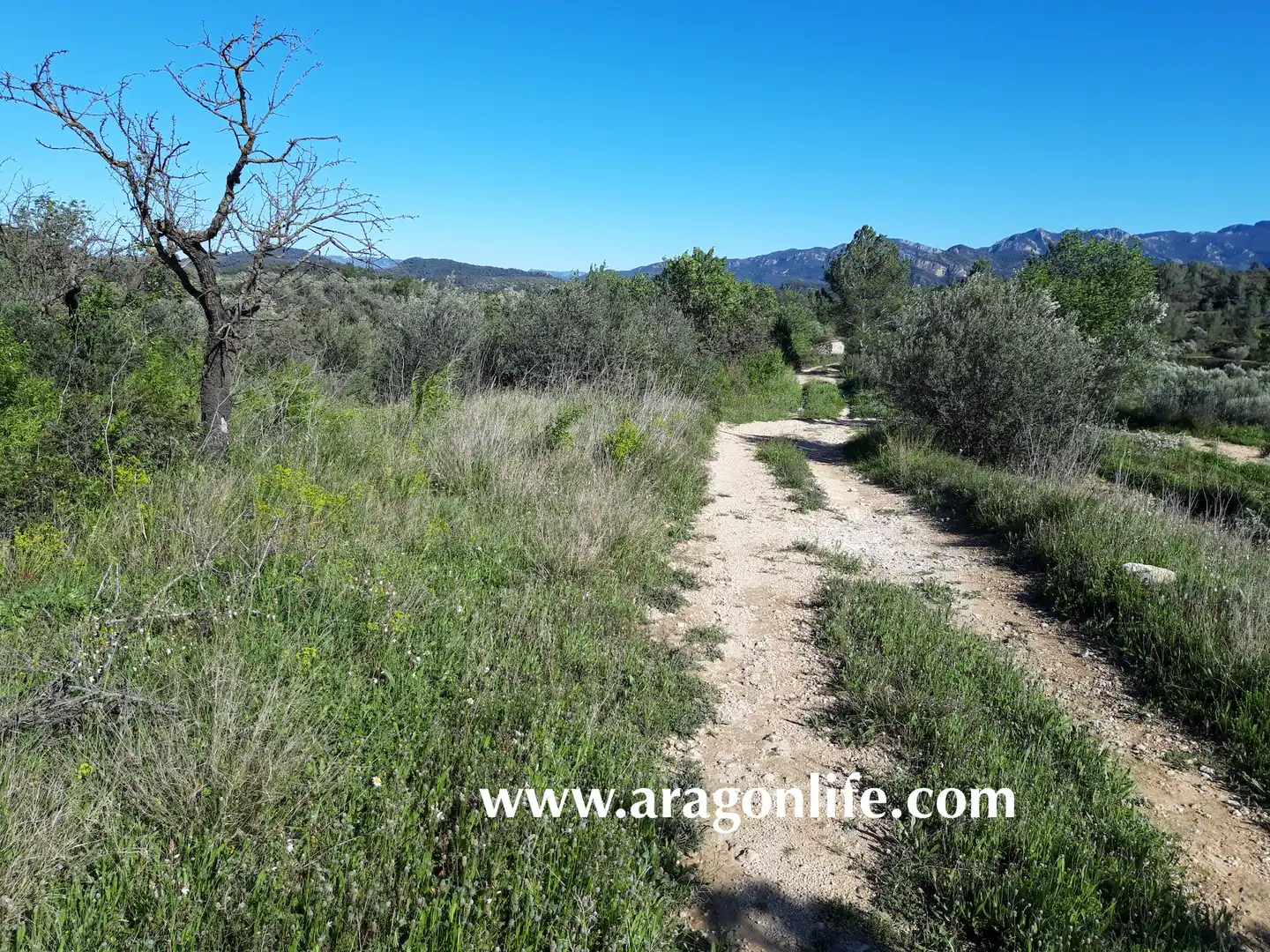 Rural land for sale in C-43, imagen 3