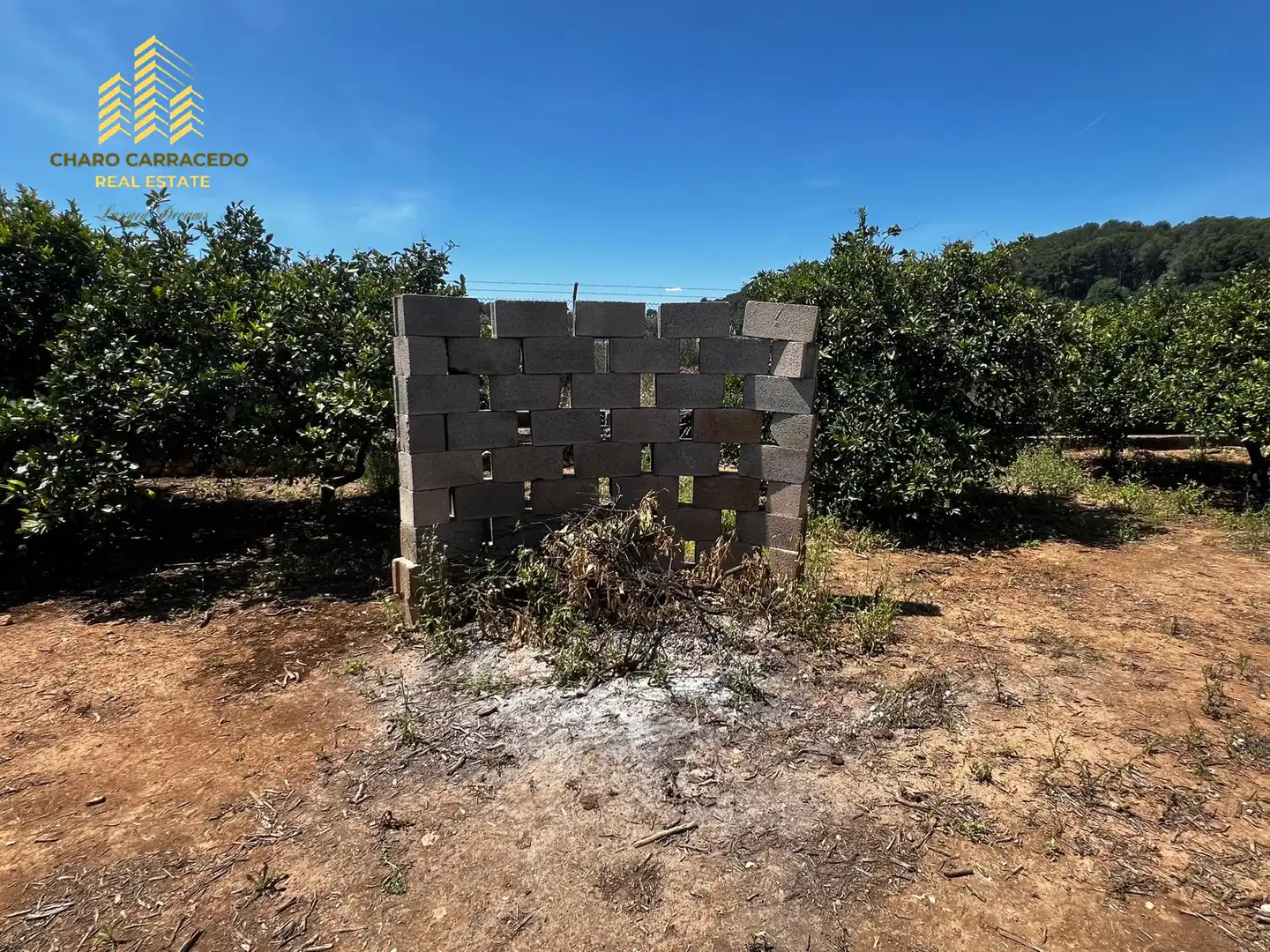 Terreno rústico en venta en Camí de la Murta-Ombria, imagen 18