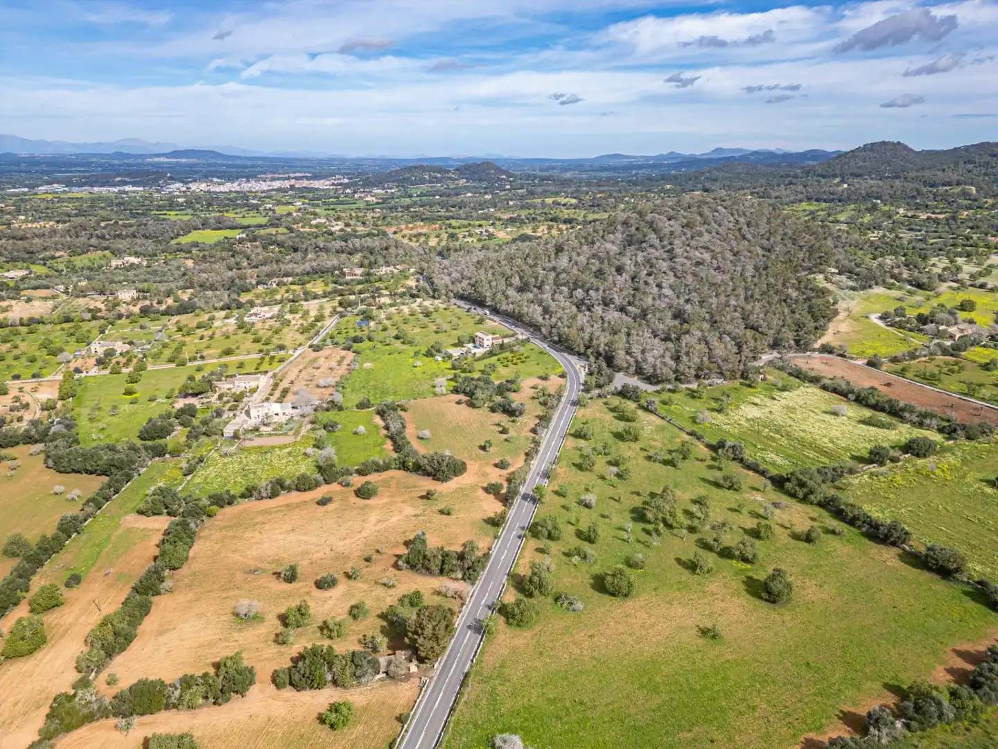 Rural land for sale in Felanitx Poble, imagen 21