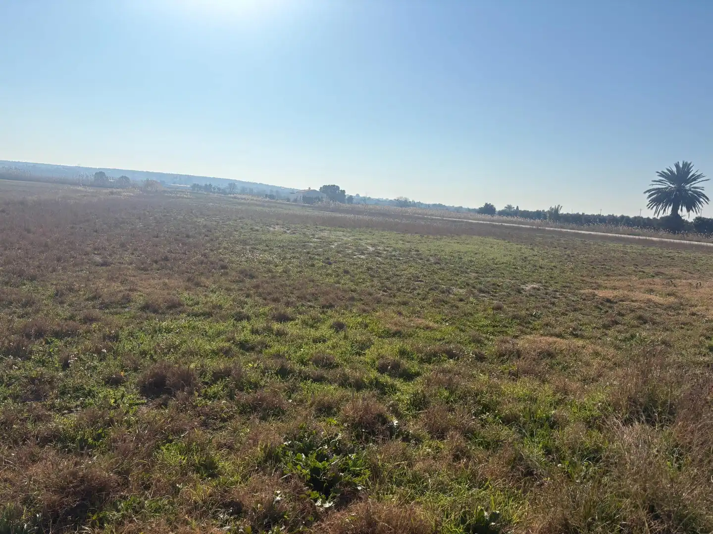 Terrain rustique à vendre à La Foia - Daimés - Asprella, imagen 13