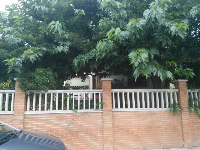 Exterior view of Flat for sale in Alcover