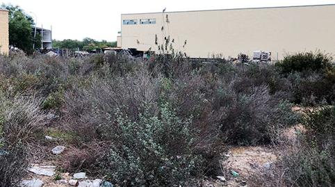 Photo 3 of Residential for sale in Pinar Grande, -1, Almonte ciudad, Huelva