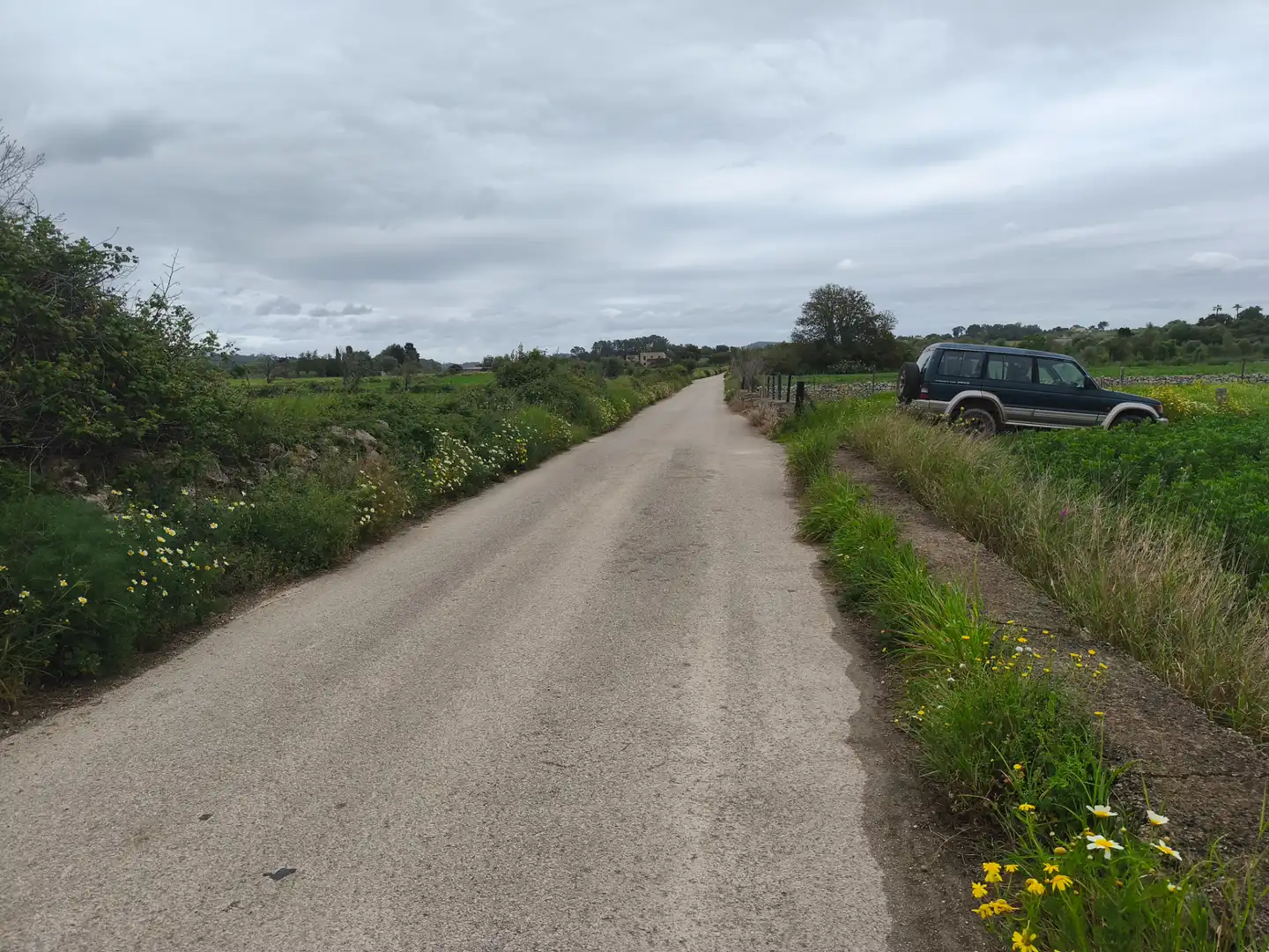 Rural land for sale in Lloret de Vistalegre, imagen 7