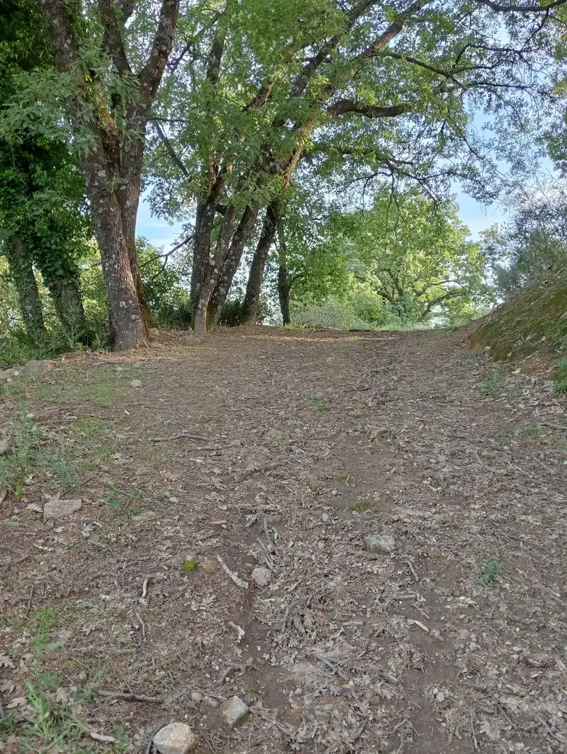 Terreno en venta en Villanueva de la Vera