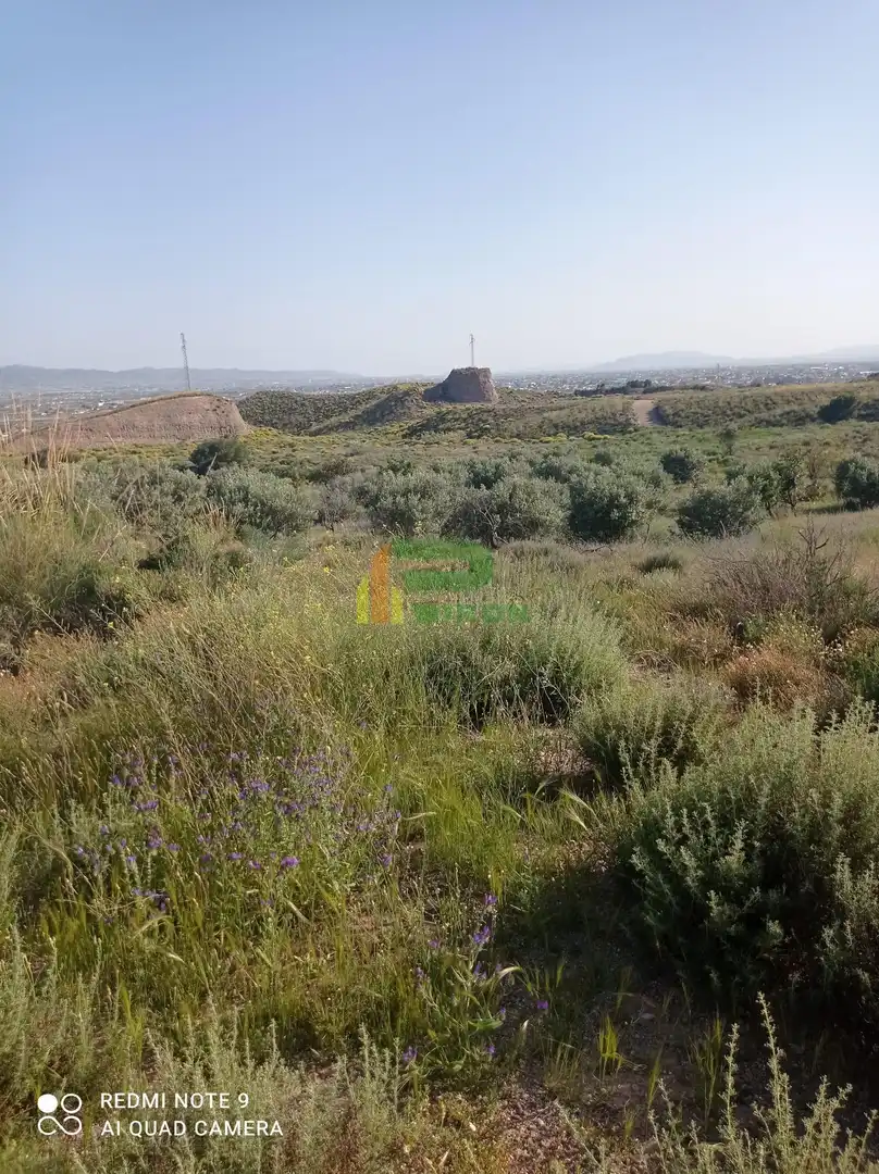 Lands and plots for sale in El saltador, imagen 5