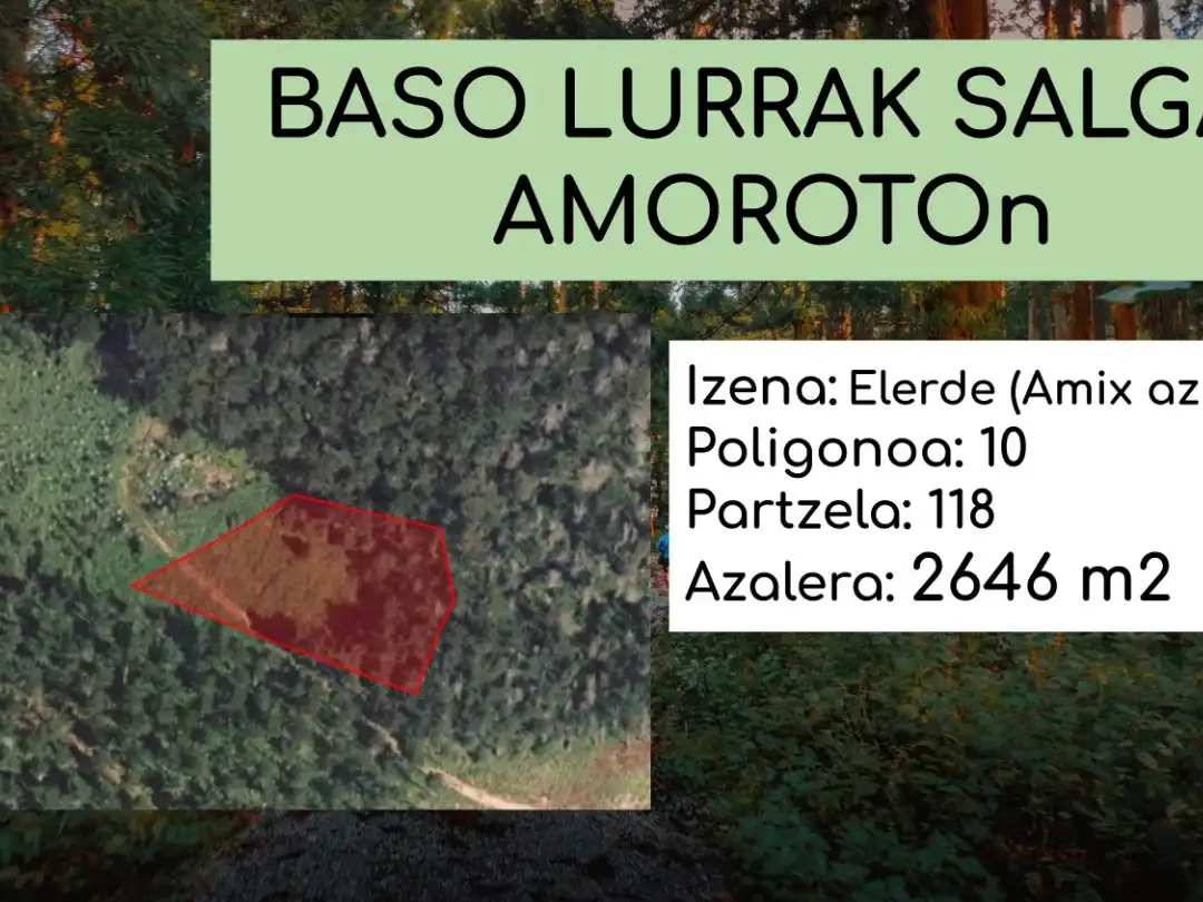 Terreno en venta en Lekeitio