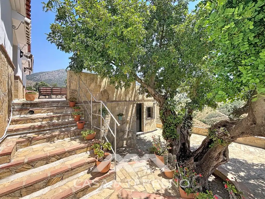 Villa mit Garten zum Verkauf in Diseminados Diseminados, imagen 4