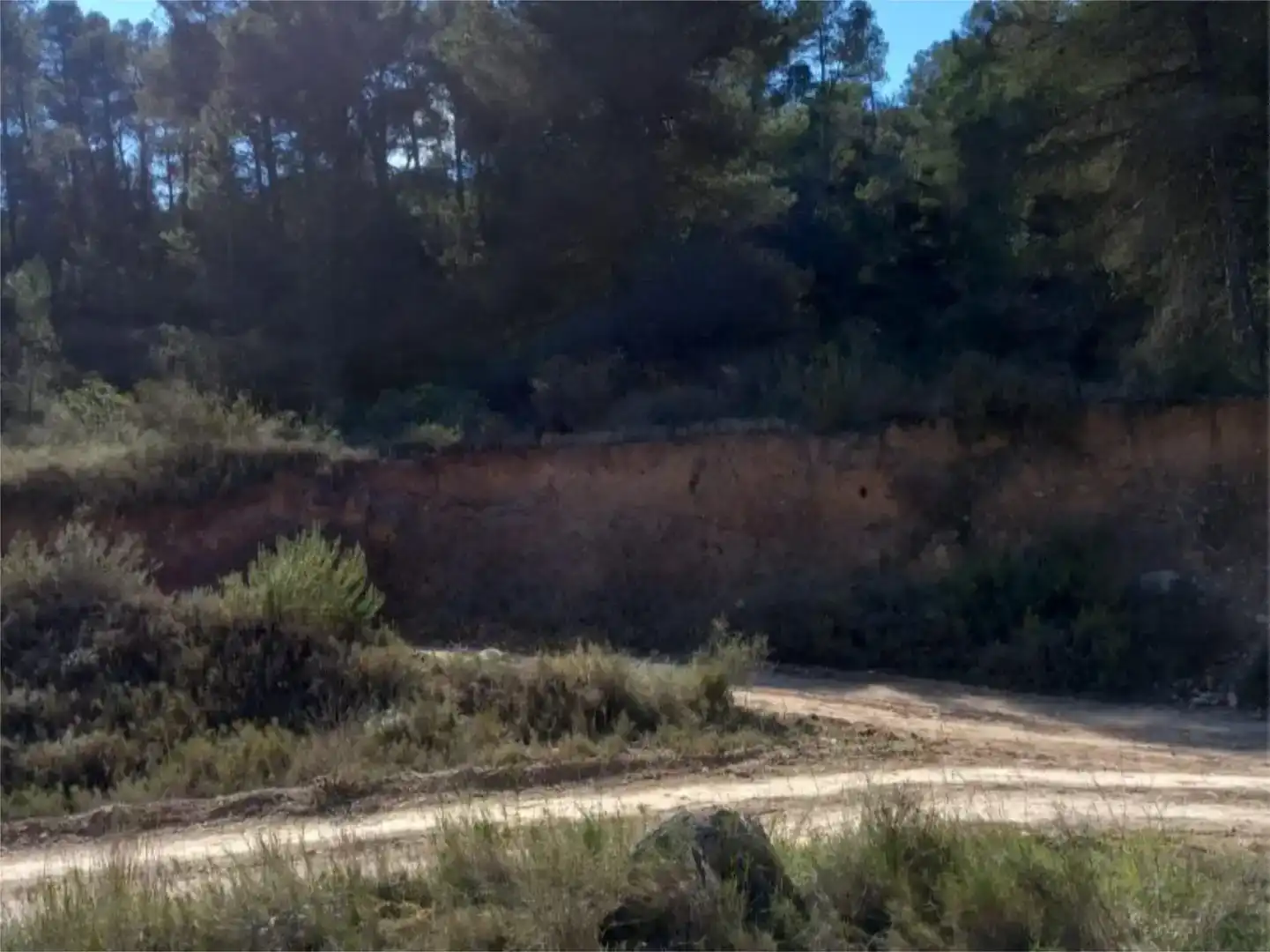 Terreno en venta en Corbera d'Ebre