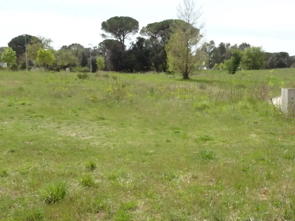 Terreno residenziale in vendita a Fornells de la Selva, imagen 8
