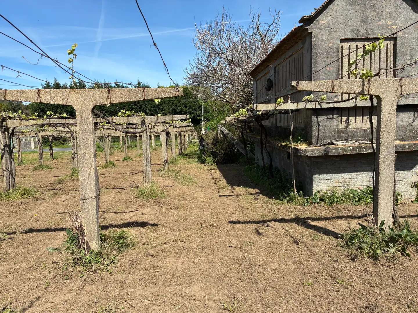 Casa en venda a Rúa souto 2, imagen 31