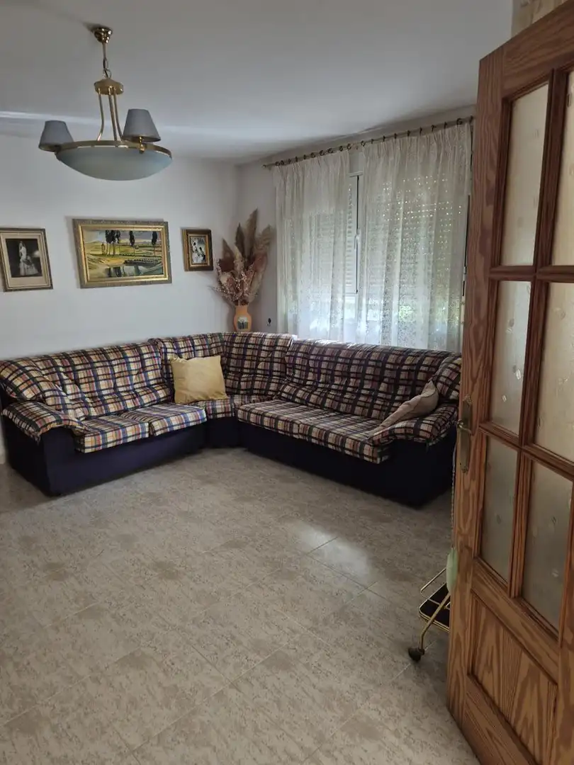 Sala de estar de Casa o chalet en venta en Pedro Muñoz con Jardín privado y Terraza