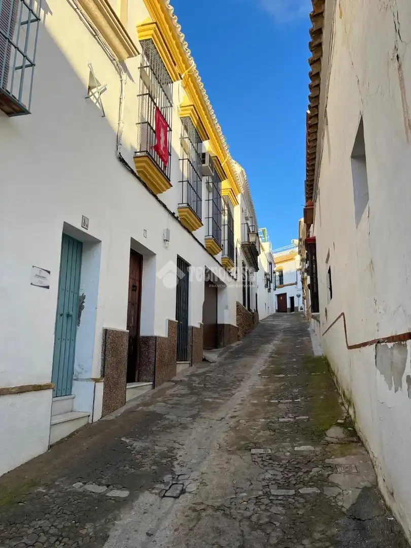 Vista exterior de Casa o xalet en venda en Carmona amb Aire condicionat i Alarma