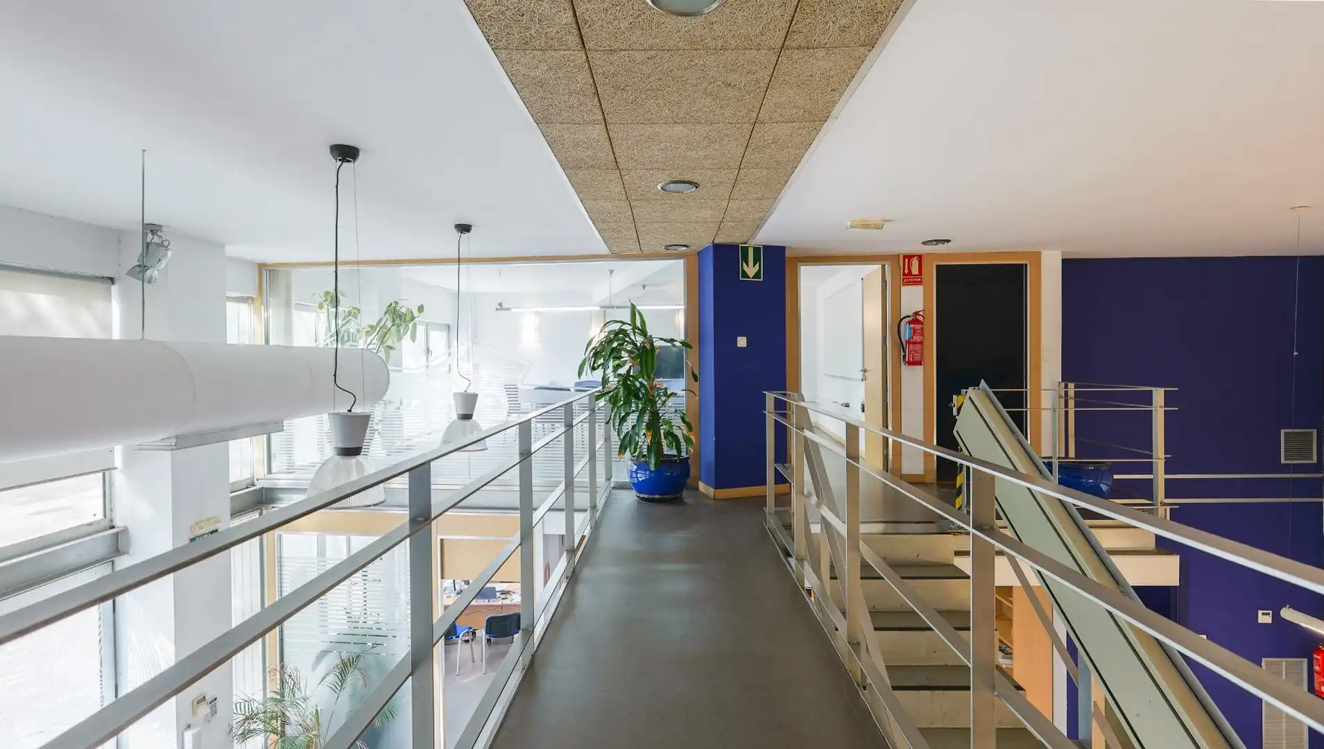 Office for rent in Alicante / Alacant