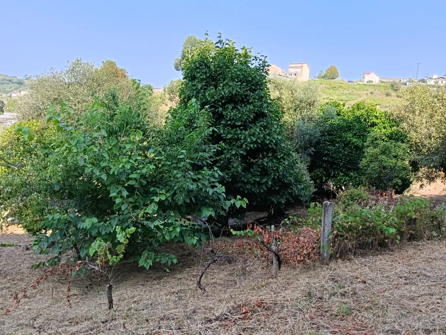 Maison avec jardin à vendre à Rúa Saavedra Meneses 87, imagen 12