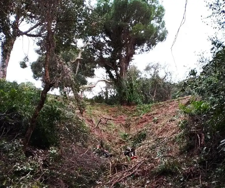 Residential land for sale in Urbanizacion de Rosamar, imagen 9
