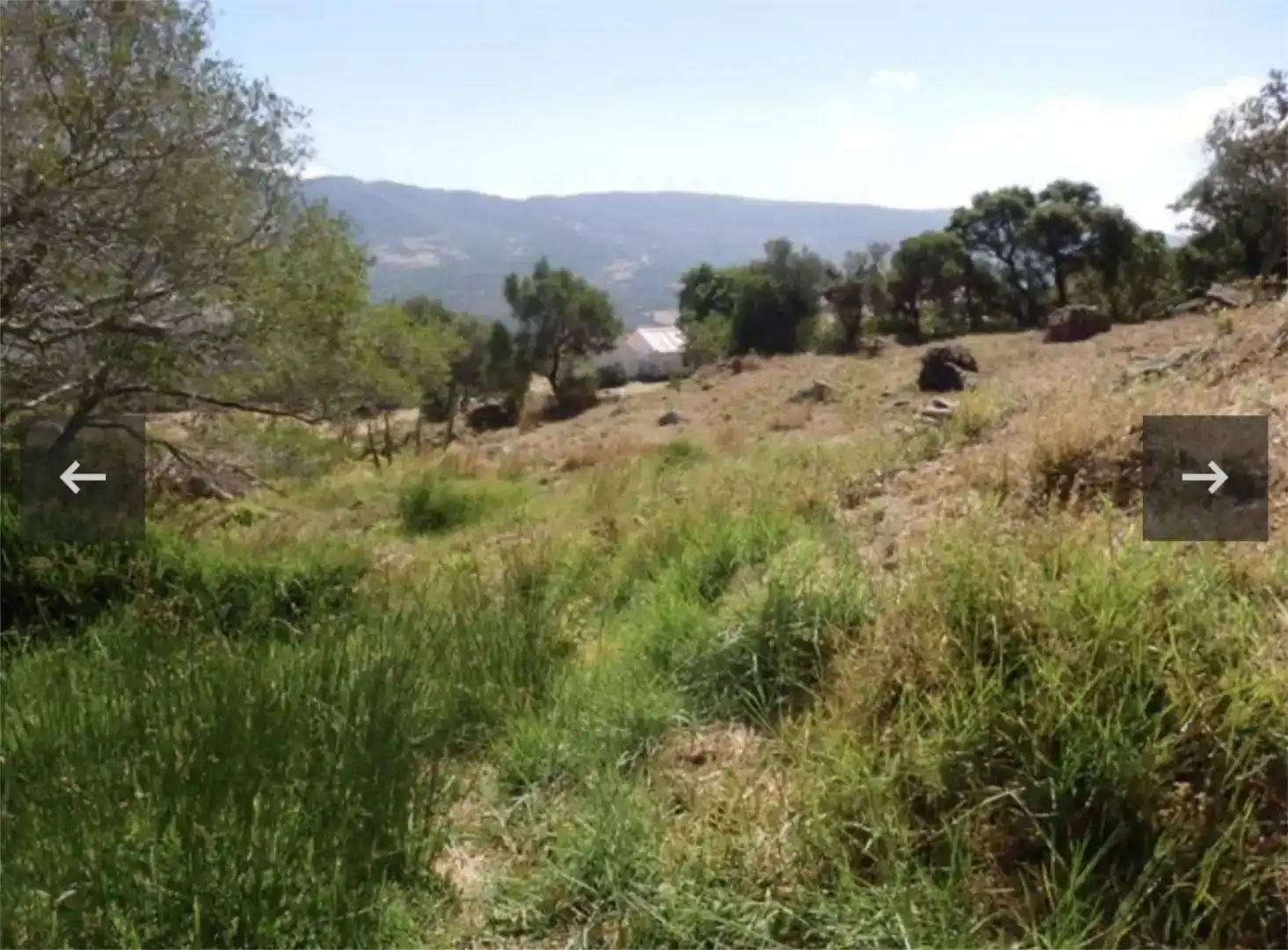 Finca rústica en venta en Carretera de Betis, 40, Facinas
