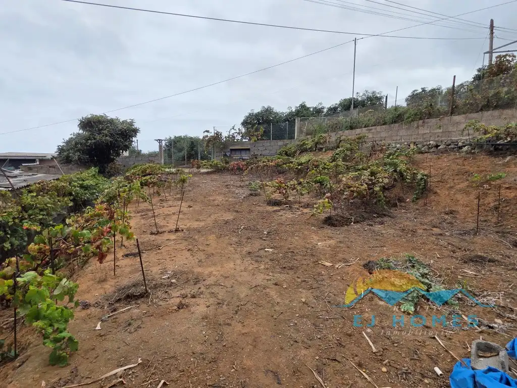 Houses for sale in La Orotava