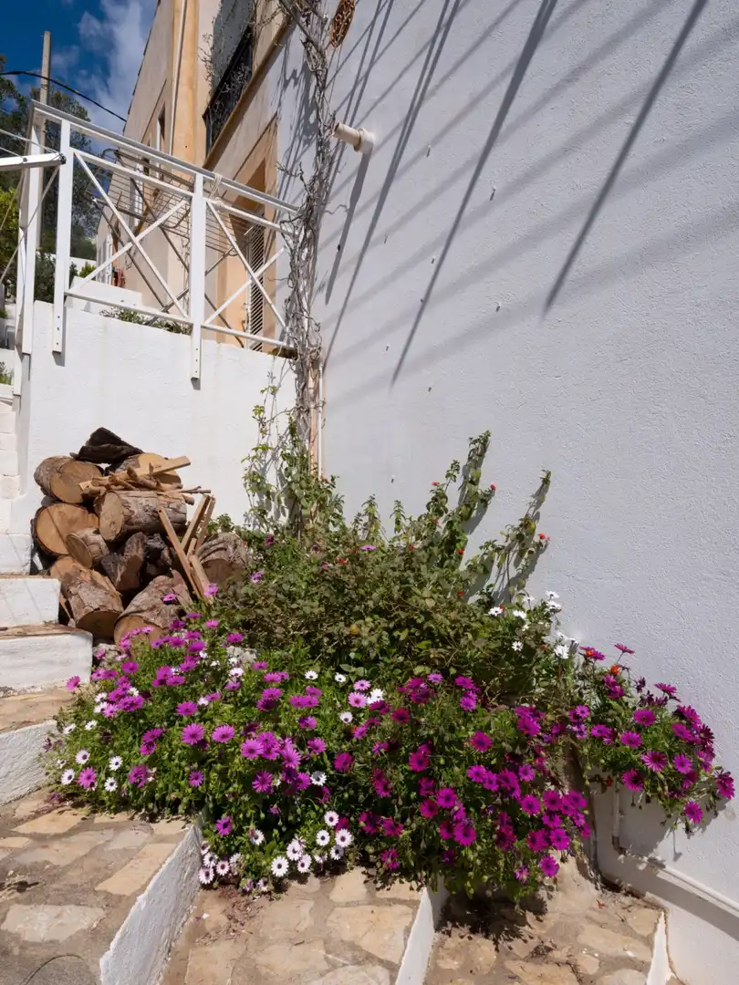 Garden of Houses for sale in Capdepera  with Private garden, Terrace and Storage room