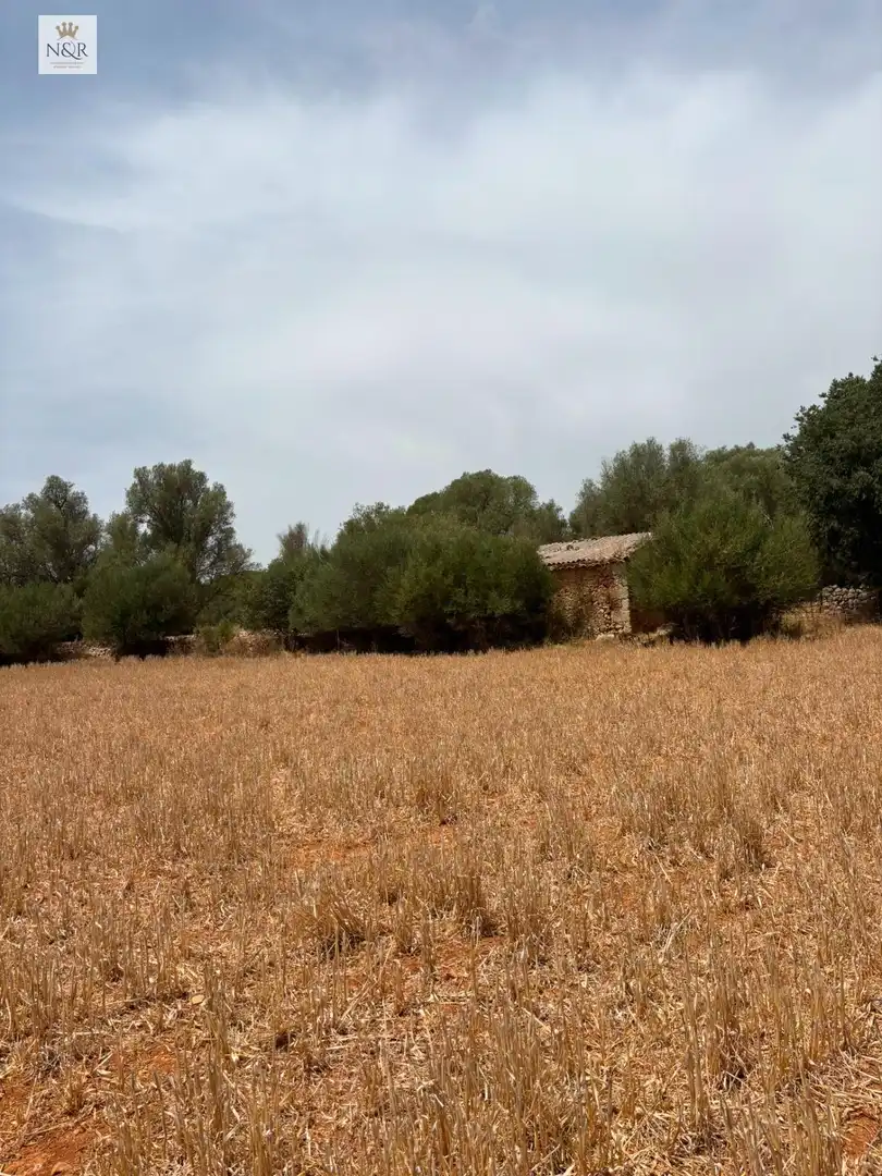 Finca rústica en venta en Sencelles