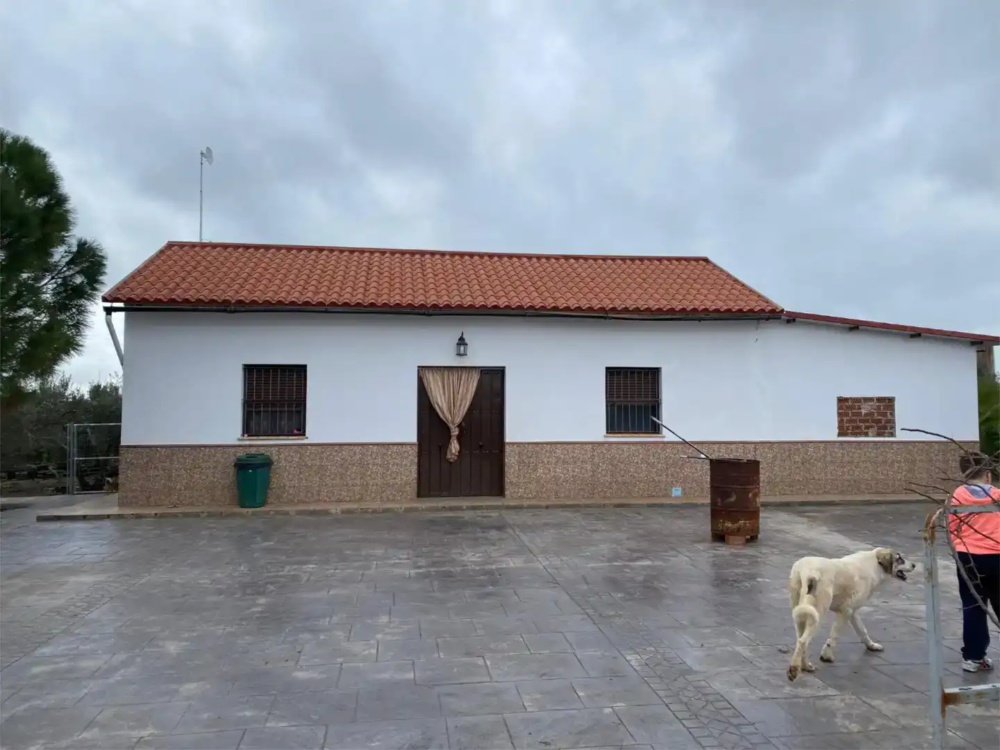 Exterior view of Flat for sale in Cañada Rosal  with Air Conditioner, Private garden and Swimming Pool