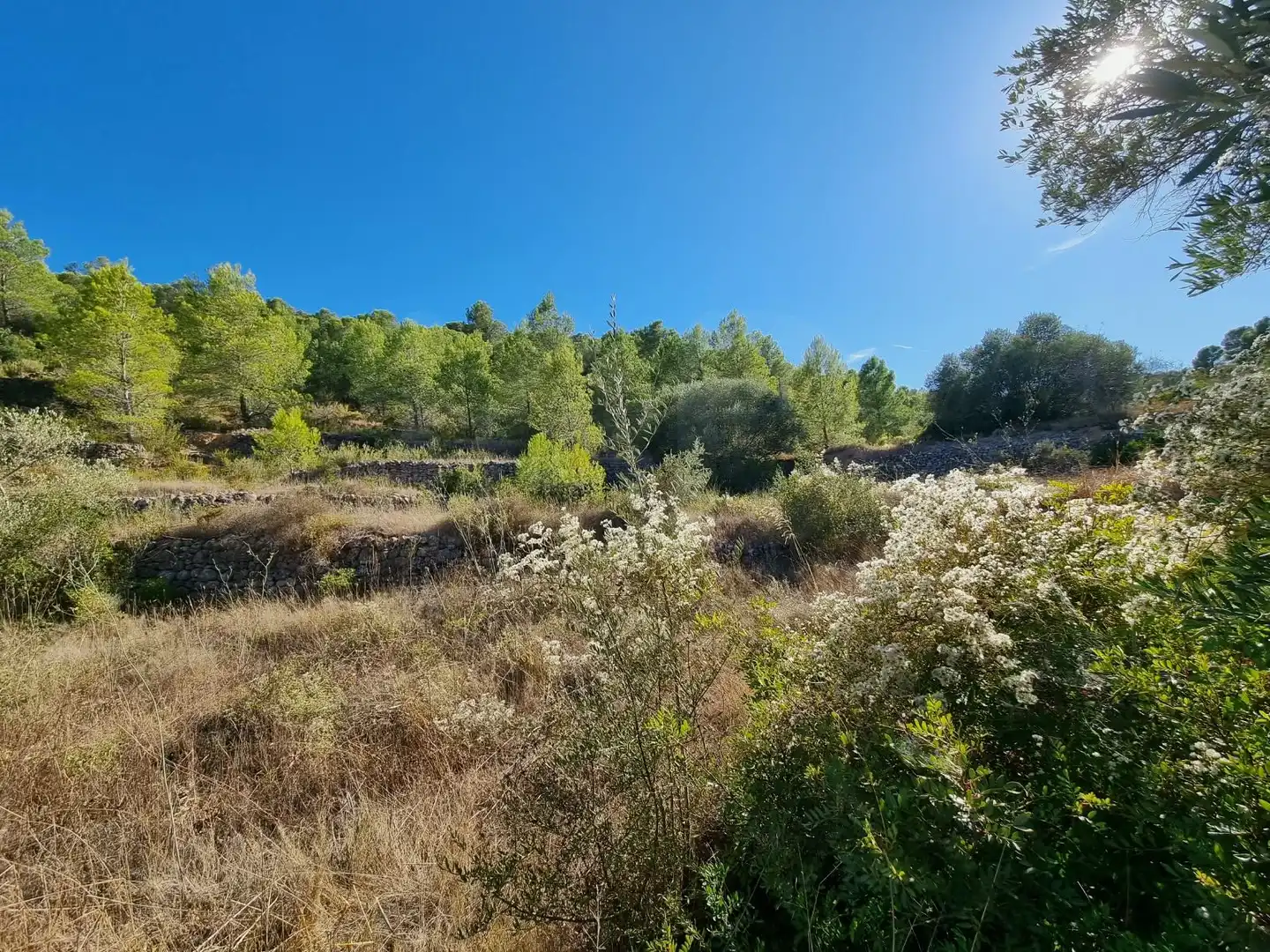 Lands and plots for sale in poligono 7 parcela 274, imagen 7