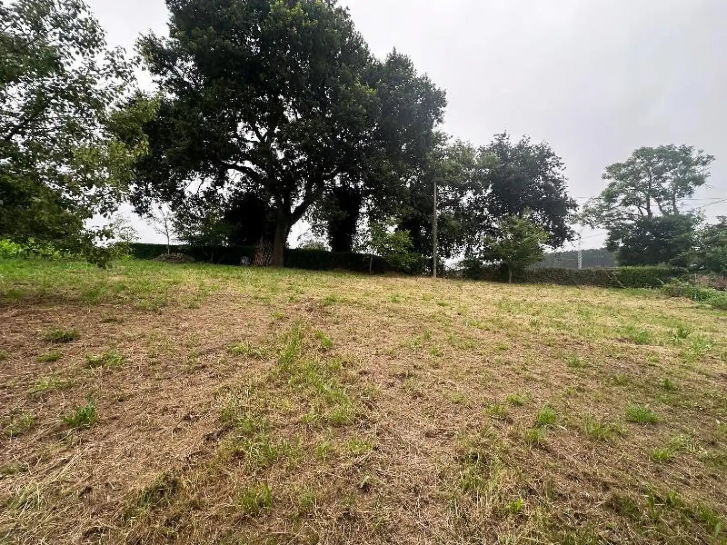 Land for sale in Reocín
