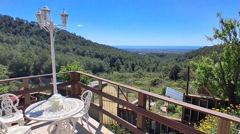 Foto 2 de Finca rústica en venta en Avinguda de Montclar, 170, Riudecanyes, Tarragona