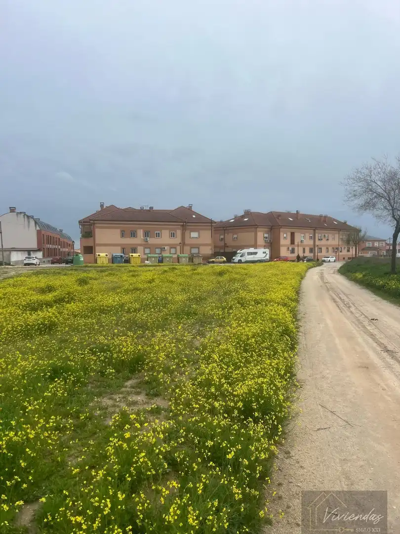 Terreny residencial en venda a El Viso de San Juan, imagen 10