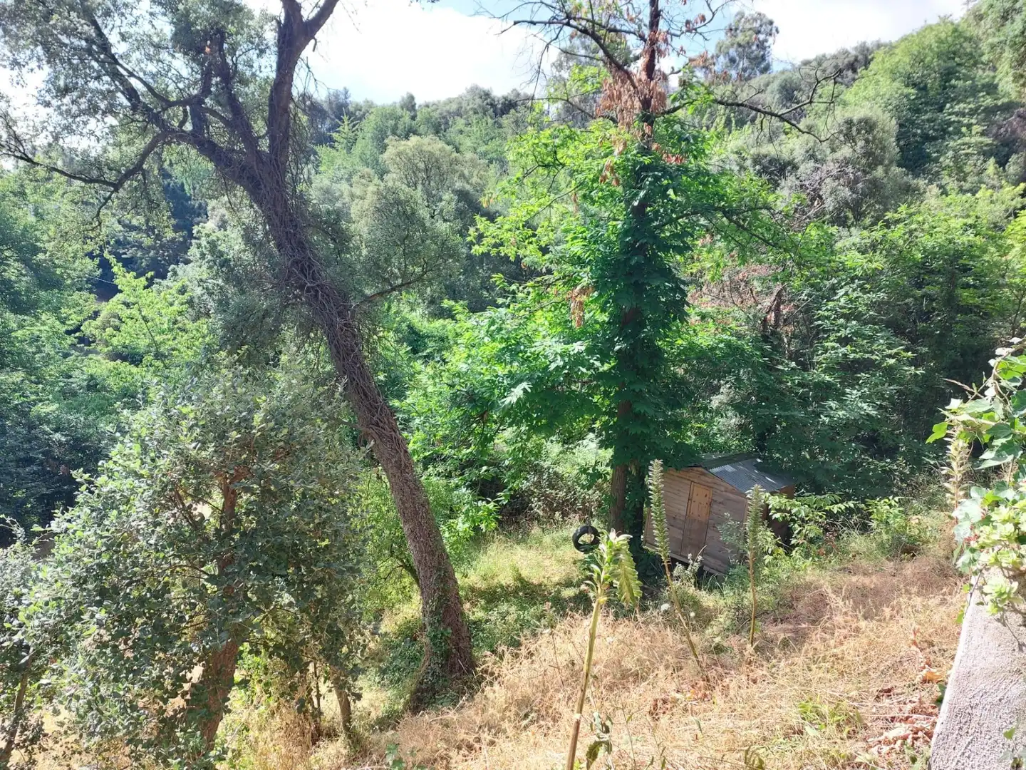 Terreno rustico in vendita a Tordera pueblo, imagen 21