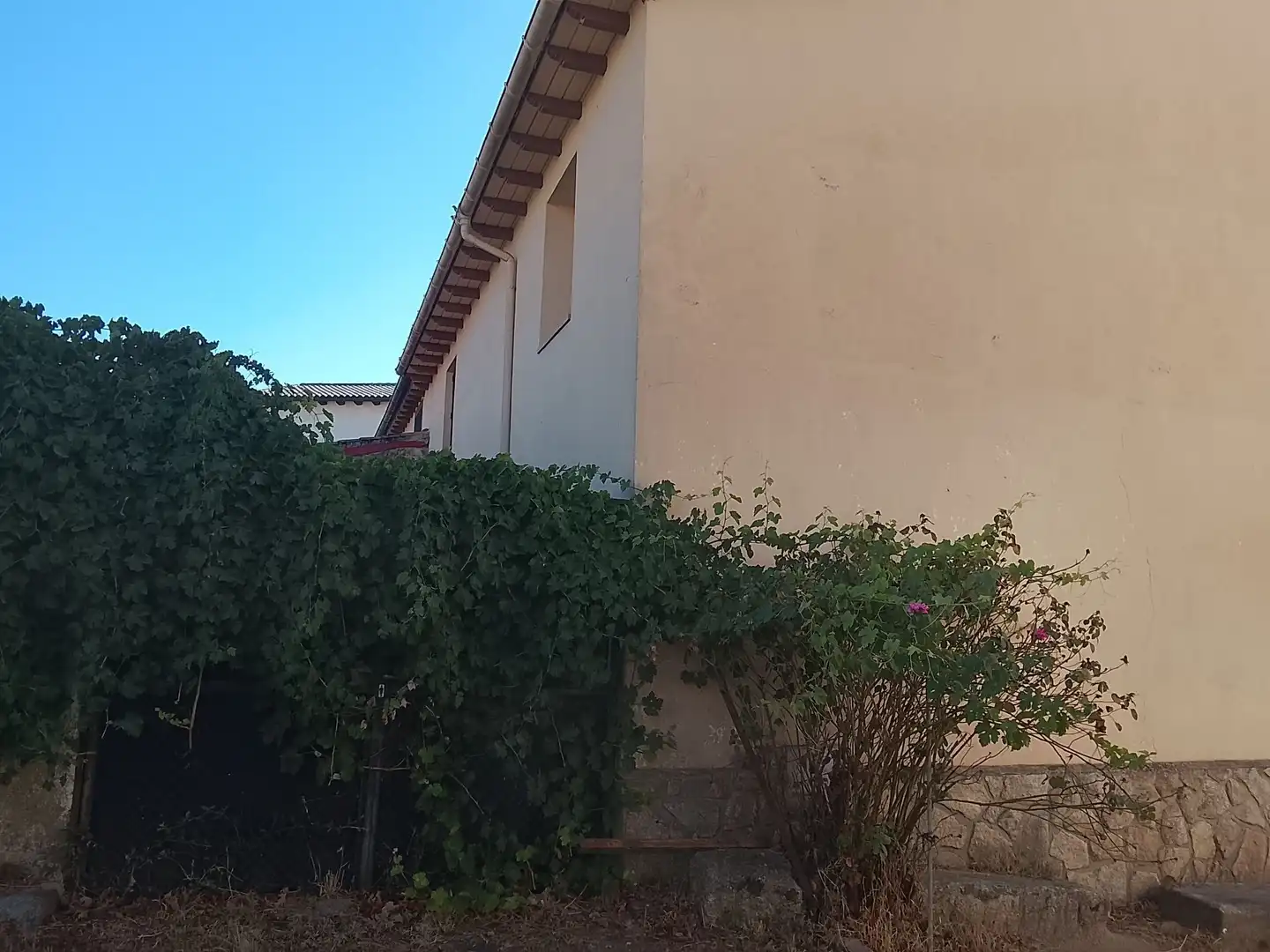 Vista exterior de Casa o chalet en venta en Arenas de San Pedro con Jardín privado y Trastero