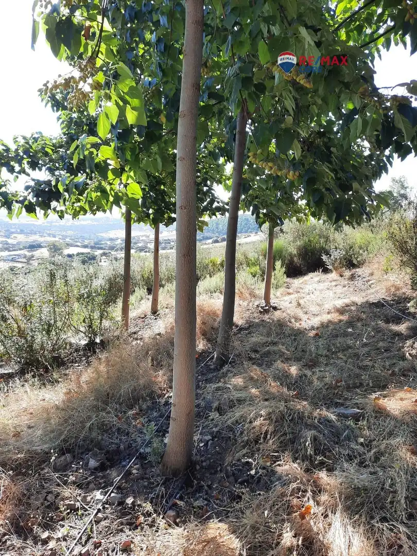 Terreni e lotti in vendita a Alburquerque, imagen 67