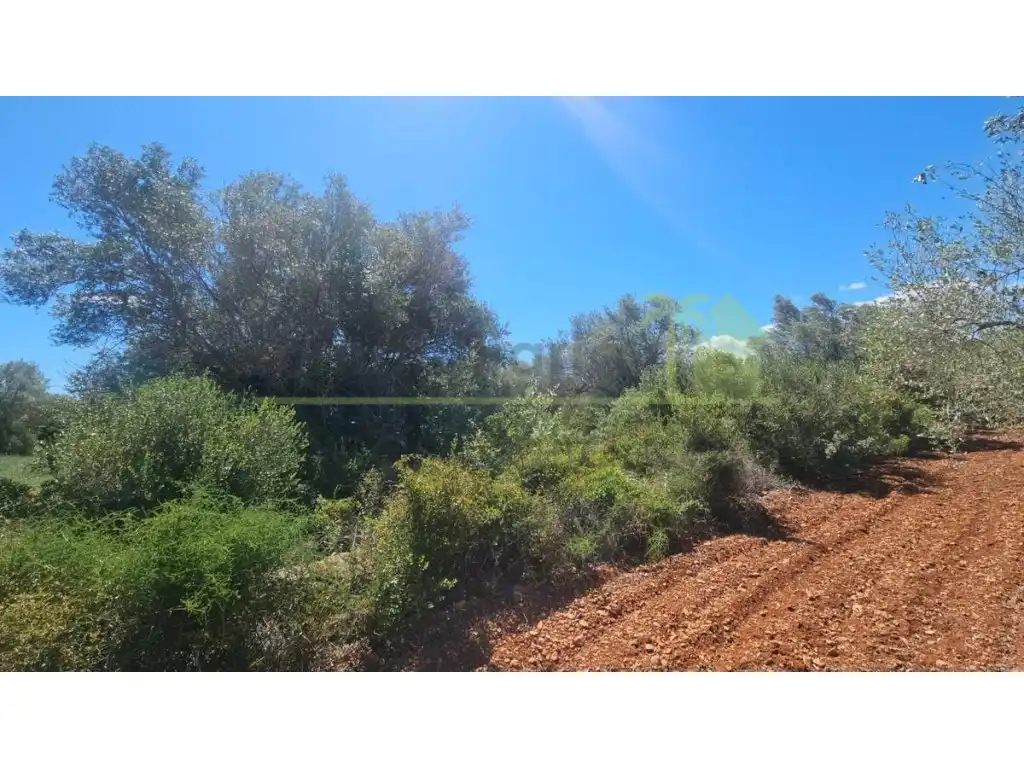 Terreny residencial en venda a Càlig, imagen 4