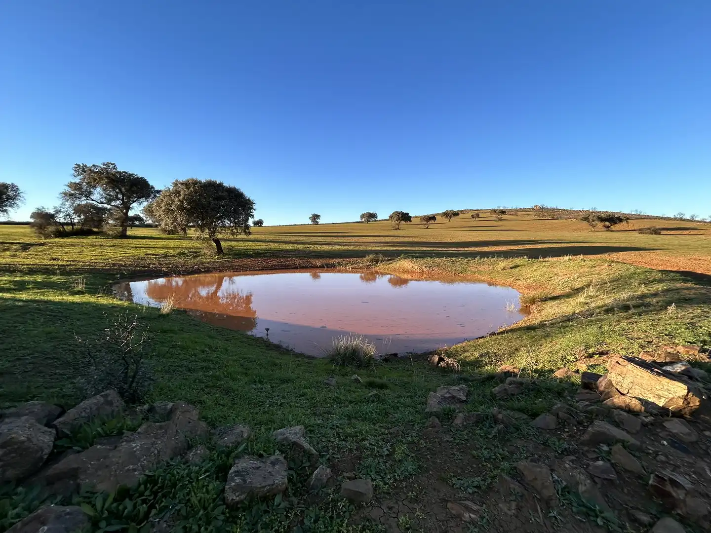 Terreny rústic en venda a Peraleda del Zaucejo, imagen 21