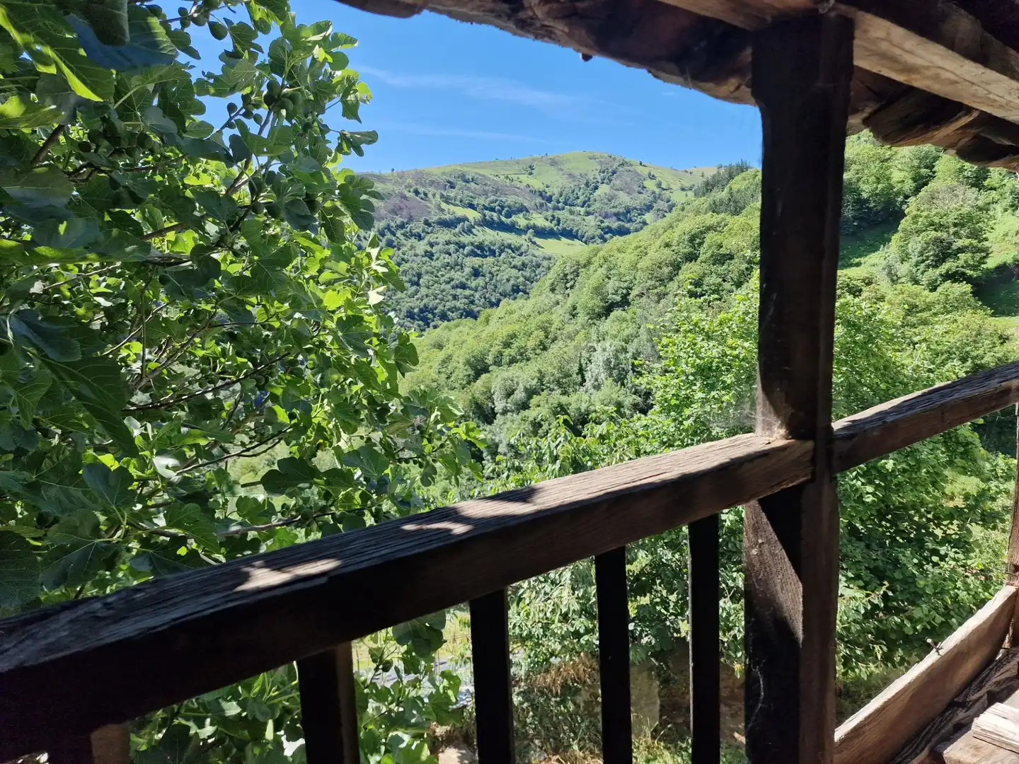 Terraza de Finca rústica en venta en Cangas del Narcea con Calefacción, Jardín privado y Terraza