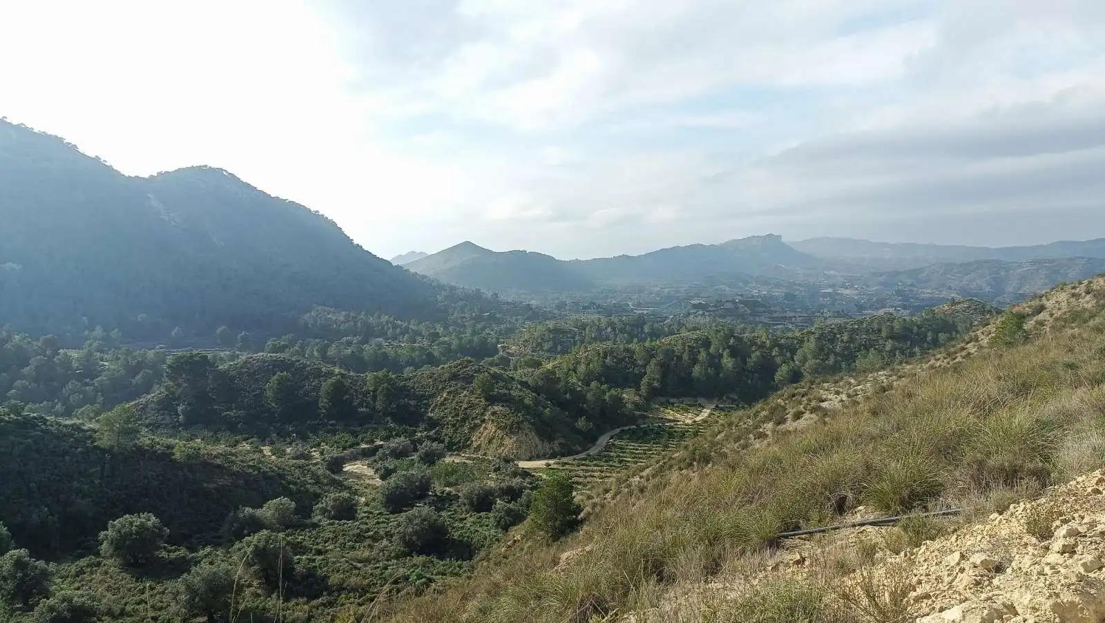Landhaus zum Verkauf in Campo de Murcia, imagen 36