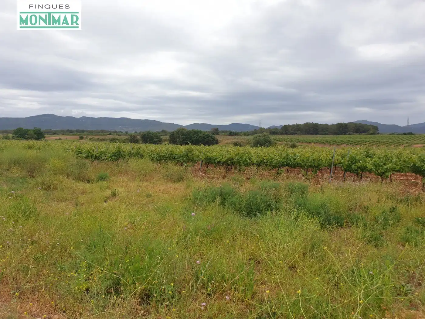 Finca rústica en venda en El Pla de Santa Maria