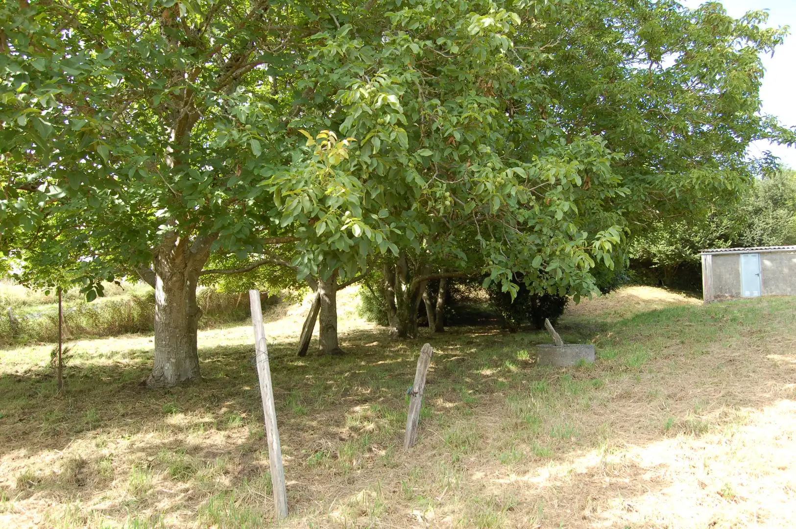 Terreny residencial en venda a Cedeira, imagen 3