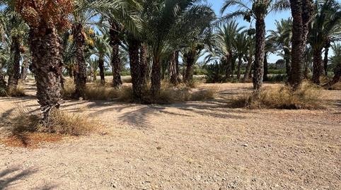 Foto 2 de Terreno en venta en La Algoda - Matola - Llano de San José, Alicante