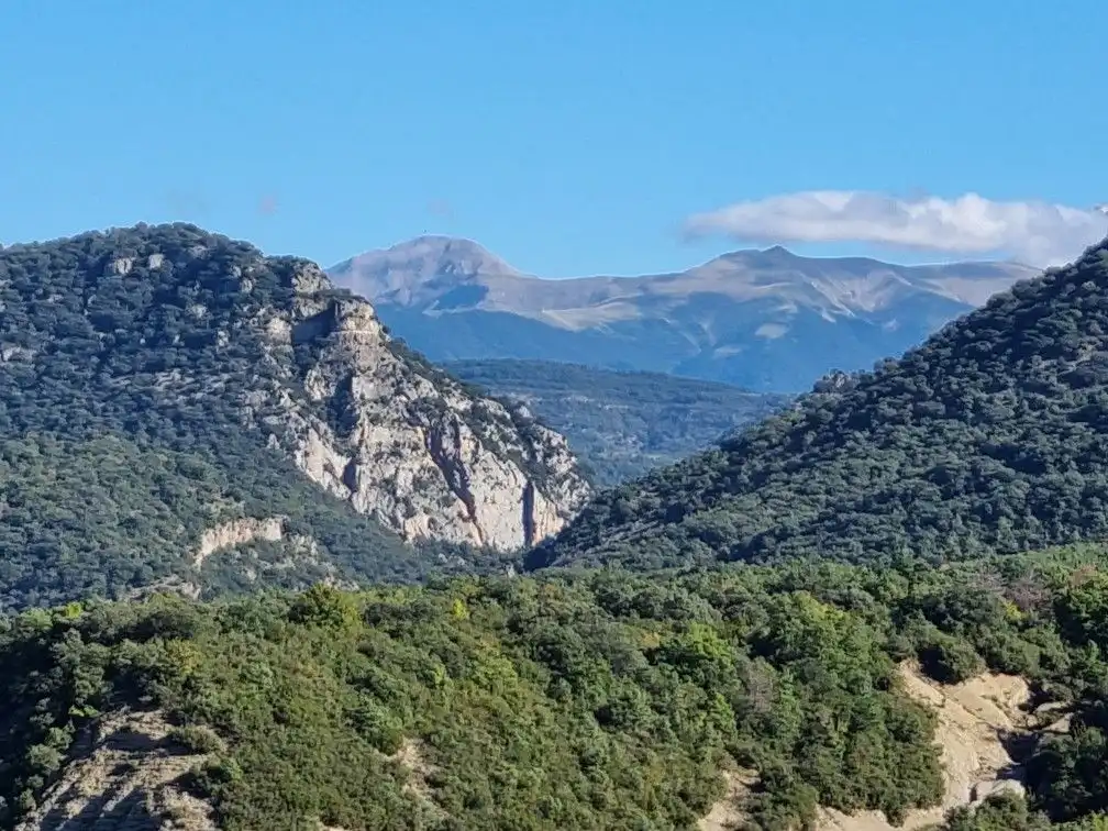 Land for sale in ÚNICA, Canal de Berdún